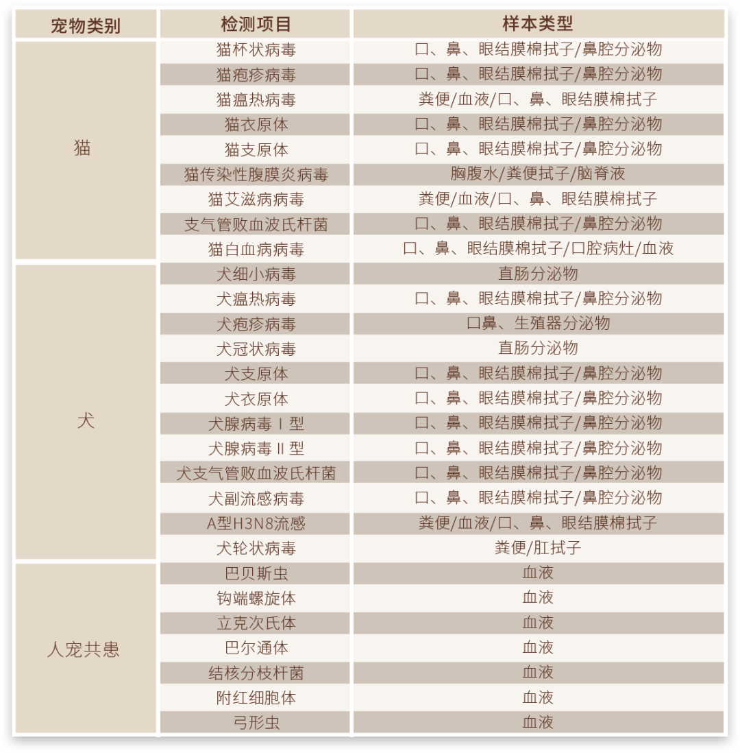 寵物醫(yī)療丨寵物微型熒光定量PCR儀